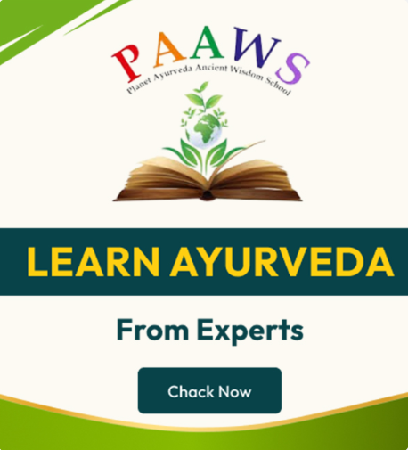 Planet Ayurveda Camp